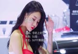 Avi-mp4-白鸽-你的上好佳-DJ版-车载美女车模视频