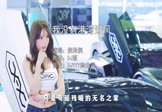 Avi-mp4-我没有港湾避风-侯泽润-DJ版-车载美女车模视频