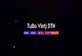Avi-mp4-TuSo Vietj DTN-网络-DJ版-车载夜店DJ视频