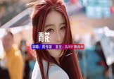 Avi-mp4-青花-周传雄-DJHouse-车载美女写真视频