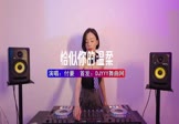 Avi-mp4-恰似你的温柔-付豪-DJHouse-车载美女DJ打碟视频