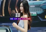 Avi-mp4-流泪-女声-DJHouse-车载美女车模视频