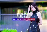 Avi-mp4-不负众望-陈婉菁-DJ阿杰-车载美女写真视频