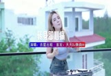 Avi-mp4-转身即心痛-吉星出租-DJHouse-车载美女DJ打碟视频