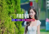 Avi-mp4-开心的马骝-刘德华-DJHouse-车载美女写真视频