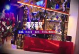 Avi-mp4-雨夜钢琴-林志美-DJ车载-车载美女DJ打碟视频