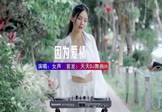 Avi-mp4-因为爱情-女声-DJ车载-车载美女DJ打碟视频