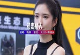 Avi-mp4-友谊太阳-甄妮-DJHouse-车载美女车模视频