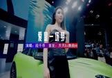 Avi-mp4-爱是一场梦-段千寻-DJHouse-车载美女车模视频