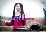 Avi-mp4-有风无风皆自由-王一佳-山口Dj娜娜-车载美女DJ打碟视频