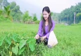 Avi-mp4-夜空中最亮的星-逃跑计划-DJ安瑾-车载美女写真视频