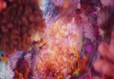 TWICEDIVEMusic Video
