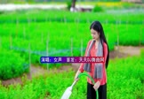 Avi-mp4-烟雨人间-女声-DJ版-车载美女写真视频
