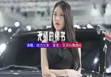 Avi-mp4-无情的情书-动力火车-DJHouse-车载美女车模视频