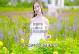Avi-mp4-下一个天亮-张德伊玲-DJ豪大大-车载美女写真视频