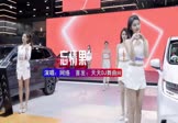 Avi-mp4-忘情果-网络-DJ国会鼓-车载美女车模视频