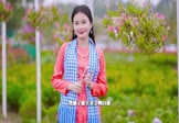 Avi-mp4-无爱情歌-王娜-DJ车载-车载美女写真视频