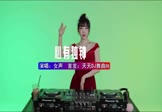 Avi-mp4-心有独钟-女声-DJ车载-车载美女DJ打碟视频