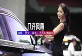 Avi-mp4-几许风雨-罗文-DJHouse-车载美女车模视频