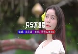Avi-mp4-只字不提爱-陈小满-DJ豪大大-车载美女写真视频