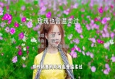 Avi-mp4-玫瑰也曾温柔过-王娜-DJ豪大大-车载美女写真视频