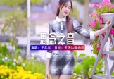 Avi-mp4-思念之音-王年年-京仔-DJ车载-车载美女写真视频