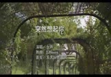Avi-mp4-突然想起你-女声-DJHouse-车载美女写真视频
