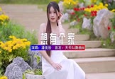 Avi-mp4-我想有个家-潘美辰-DJ安瑾-车载美女写真视频