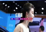 Avi-mp4-红眼睛-陈慧琳-DJHouse-车载美女车模视频